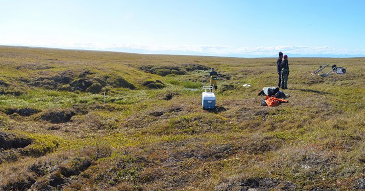 FSU Research: Hidden source of carbon found at the Arctic coast - Florida State News