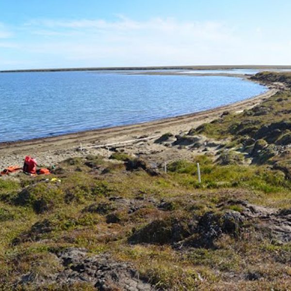 A view of one of the research team’s study sites near Kaktovik, Alaska. Shallow groundwater flows beneath the tundra surface into the adjacent lagoon. Photo by: M. Bayani Cardenas / University of Texas at Austin