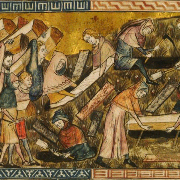 A 14th century depiction of the burial of plague victims at Tournai in present-day Belgium. Courtesy of Wikimedia Commons.