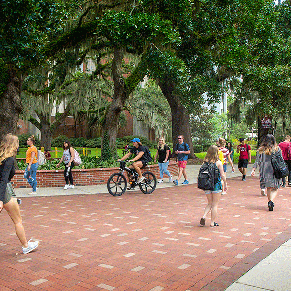 The transition to a remote campus has been an "exciting challenge" for the Florida State University Honors Program. (FSU Photography Services)
