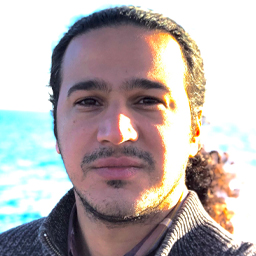 Mohammadreza Paraan, a researcher at FSU's Institute of Molecular Biophysics