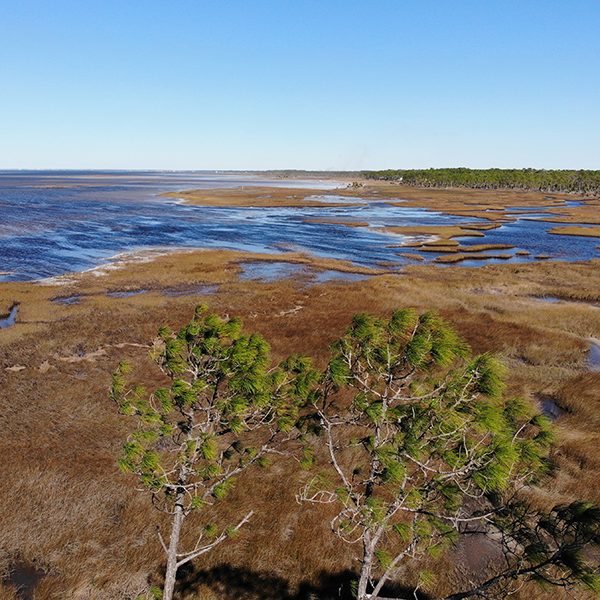St. Joseph Bay Aerial View. Photo courtesy of Darryl Boudreau