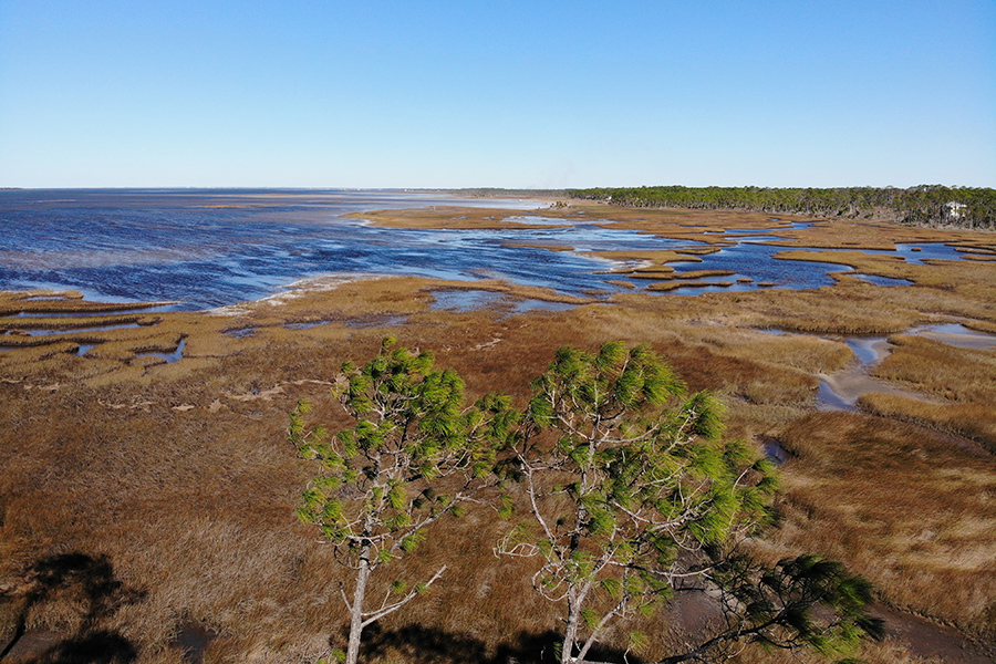 St. Joseph Bay Aerial View. Photo courtesy of Darryl Boudreau