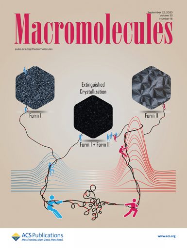 The research by Rufina Alamo and former doctoral student Xiaoshi Zhang was featured on the front cover of Macromolecules. Alamo and Zhang designed the illustration, and Zhang drew it. (Courtesy of Xiaoshi Zhang)