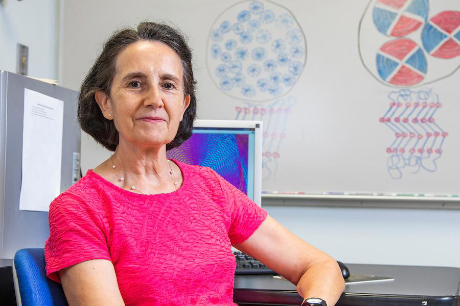 Rufina Alamo, Simon Ostrach Professor of Engineering and Distinguished Research Professor of Chemical and Biomedical Engineering at the FAMU-FSU College of Engineering. (Mark Wallheiser/FAMU-FSU College of Engineering)