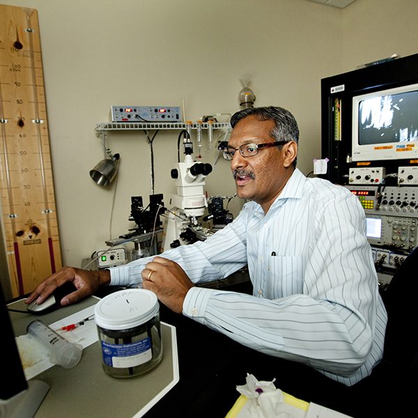 Sanjay Kumar, an associate professor in the Florida State University College of Medicine’s Department of Biomedical Sciences (Colin Hackley)