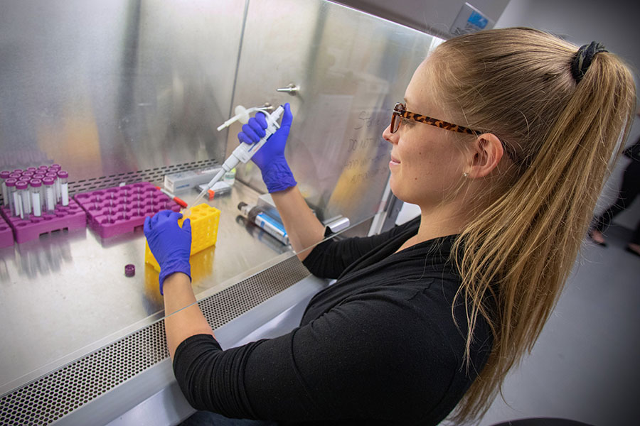 Helsper examines hMSC derived cell therapies by injecting them into models of strokes and tracking them over the course of multiple days. (FSU Photography Services/Bill Lax)