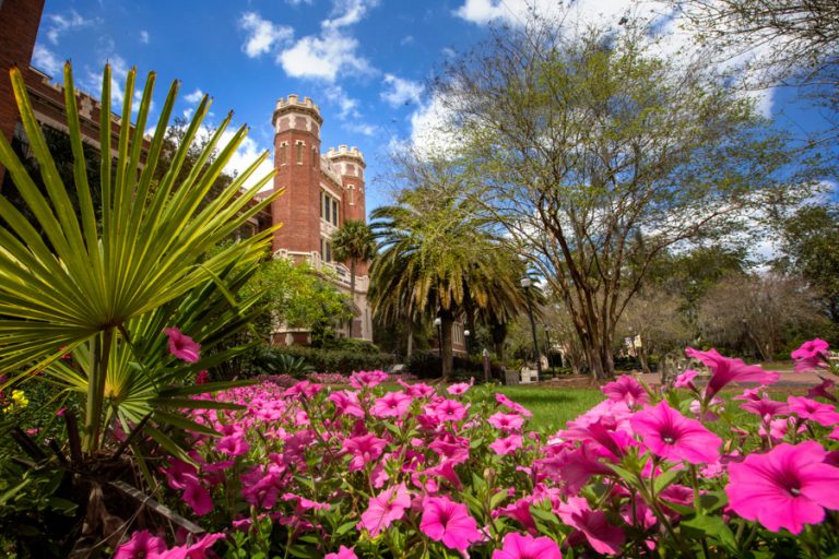 Florida State University News