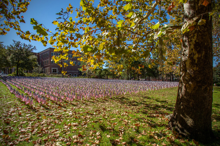 Nearly 7,000 flags cover the Mina Jo Powell Alumni Green for the Fallen Heroes Ceremony in November 2020. (FSU Photography Services)