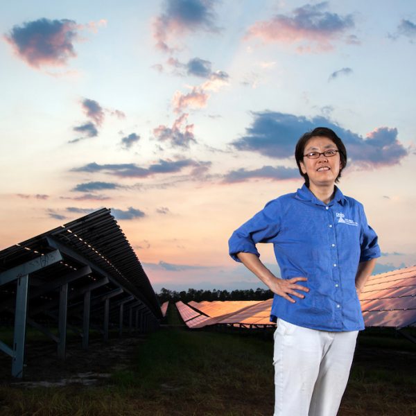 Hui Li, a professor in the Department of Electrical and Computer Engineering at the FAMU-FSU College of Engineering, stands in the city's solar farm west of the Tallahassee International Airport. (Mark Wallheiser/FAMU-FSU College of Engineering)