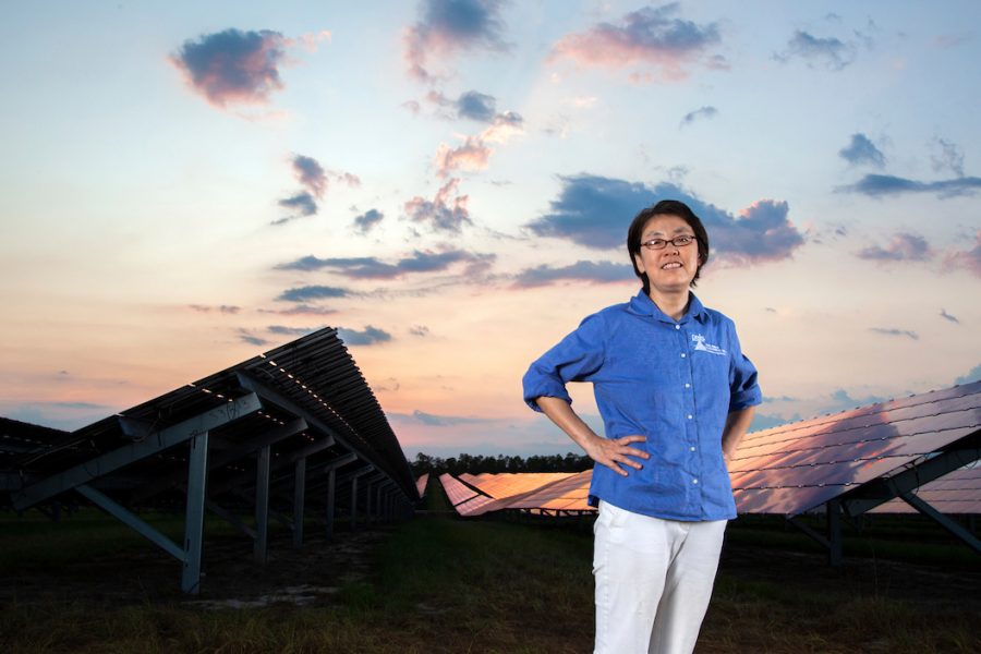 Hui Li, a professor in the Department of Electrical and Computer Engineering at the FAMU-FSU College of Engineering, stands in the city's solar farm west of the Tallahassee International Airport. (Mark Wallheiser/FAMU-FSU College of Engineering)