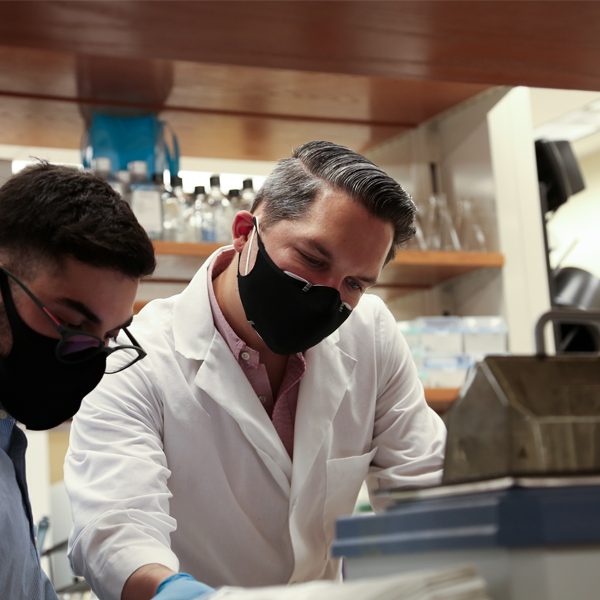 Assistant Professor of Biomedical Sciences Stephen Chelko, right, works in his laboratory with graduate student Maicon Landim-Vieira. Chelko’s lab has published research providing important new insights about arrhythmogenic cardiomyopathy, a leading cause of sudden cardiac death among young athletes. (Mark Bauer/FSU College of Medicine)
