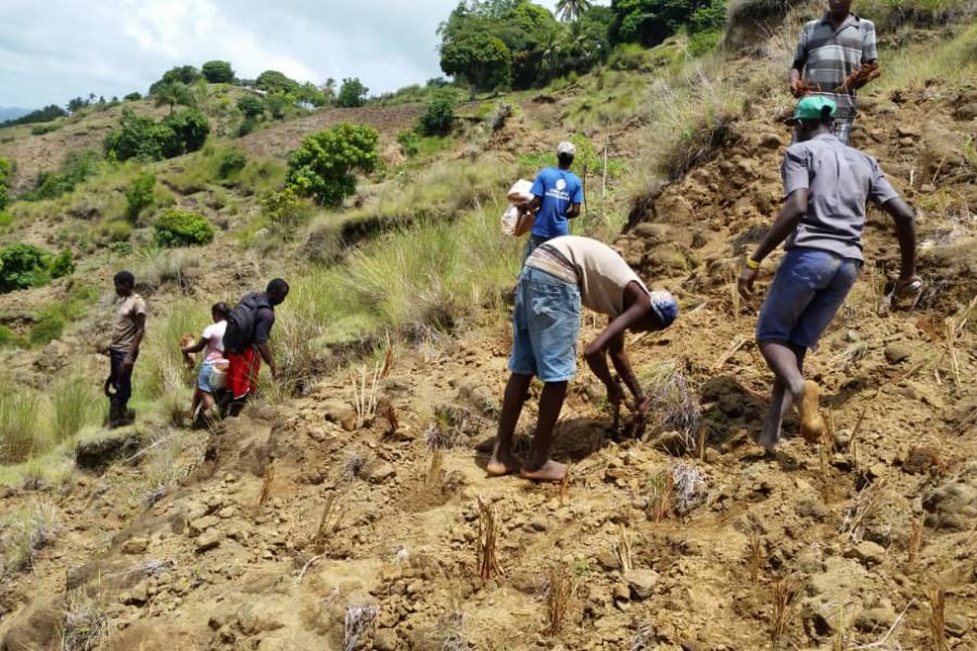 Villagers in Haiti planting grass on eroded slopes to reduce soil erosion