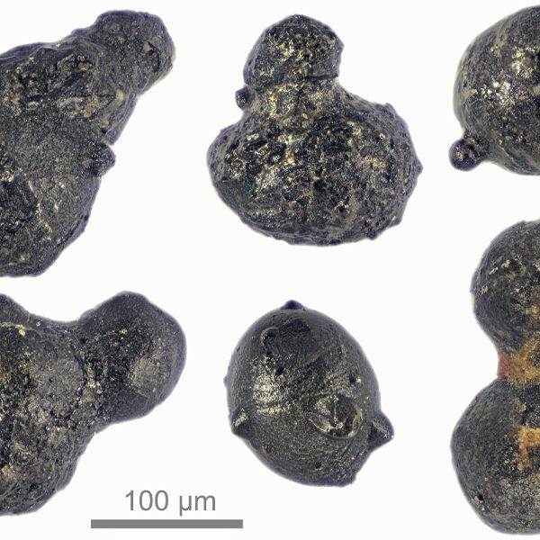 Particles from an exploding meteor that reached the Antarctic ice sheet 430,000 years ago. The particles are evidence of an airburst — a large meteorite or comet collision with the atmosphere that leaves no crater behind — that created a jet of melted and vaporized meteoritic material that passed through the atmosphere to reach the Earth’s surface. (Courtesy of Scott Peterson / micrometeorites.com)