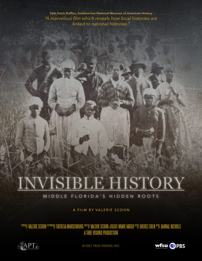 Invisible History film poste