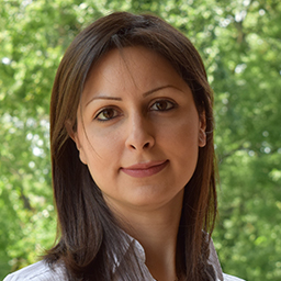 Neda Yaghoobian, assistant professor in the Department of Mechanical Engineering, FAMU-FSU College of Engineering