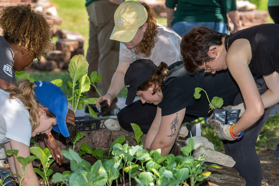 Volunteers at Seminole Organic Garden get their hands dirty planting pineapple sage, perennial flowers, mustard greens, dill, mulberry and loquat.