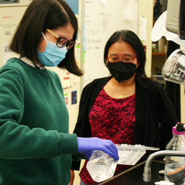 From left, doctoral student Xiaoyan Yu and Associate Professor Yuan Wang in Wang's lab. (Robert Thomas/FSU College of Medicine)