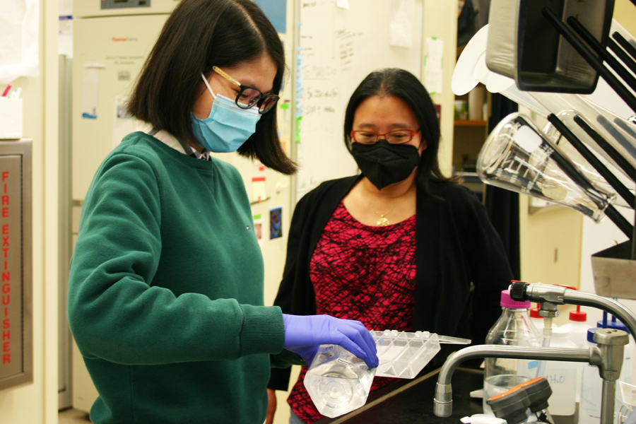 From left, doctoral student Xiaoyan Yu and Associate Professor Yuan Wang in Wang's lab.