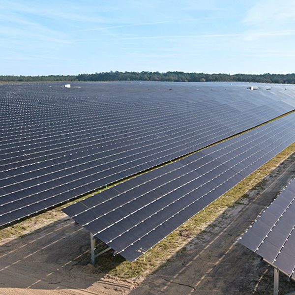 Solar-produced electric energy is expected to account for 30 percent of FSU's consumption in the next year. (Photo courtesy of the City of Tallahassee)