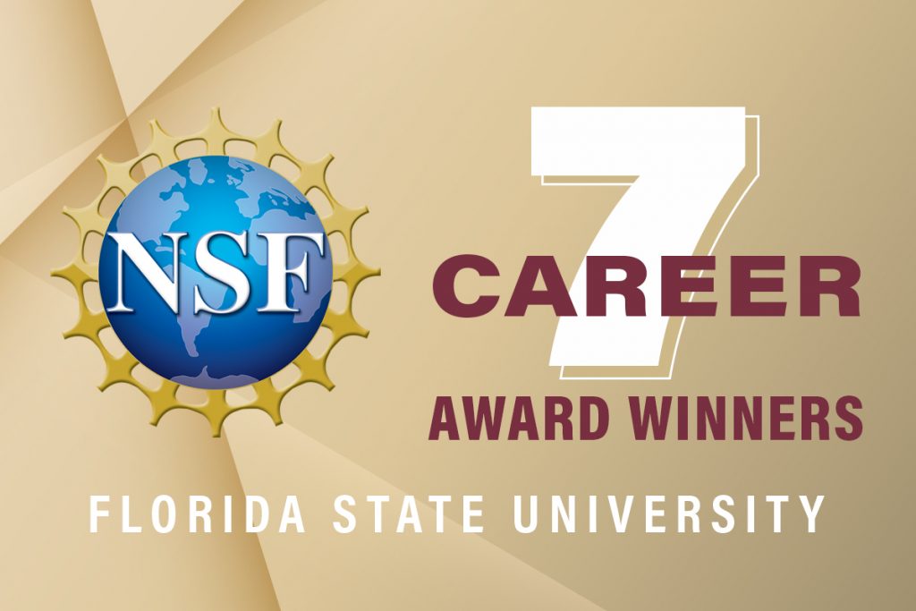 Record number of FSU faculty win prestigious NSF CAREER awards