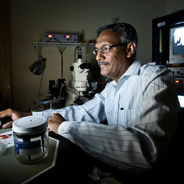 Professor of Biomedical Sciences Sanjay Kumar, who led a study that found a link between a specific protein in the brain and increased vulnerability to neurodegeneration for individuals with temporal lobe epilepsy. (Florida State University)