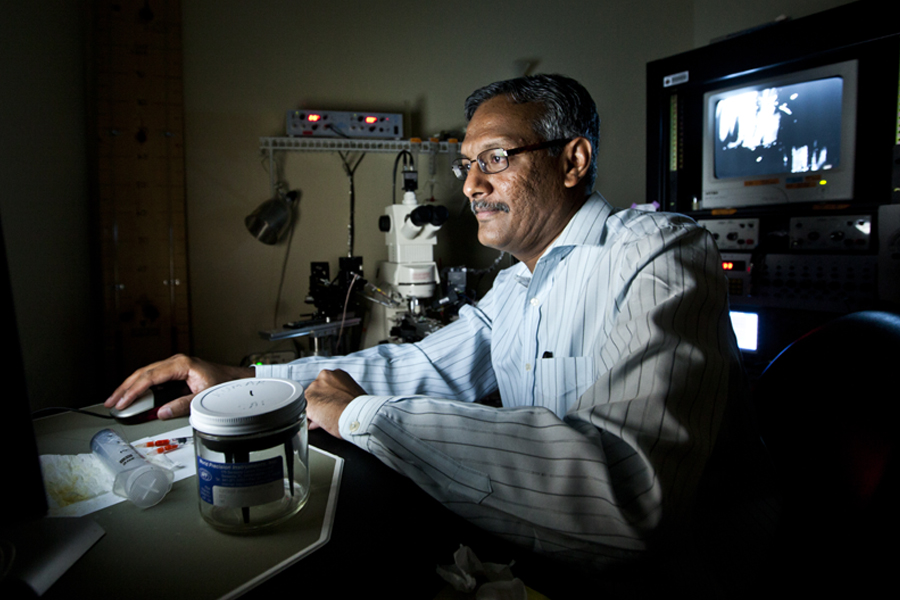 Professor of Biomedical Sciences Sanjay Kumar, who led a study that found a link between a specific protein in the brain and increased vulnerability to neurodegeneration for individuals with temporal lobe epilepsy. (Florida State University)