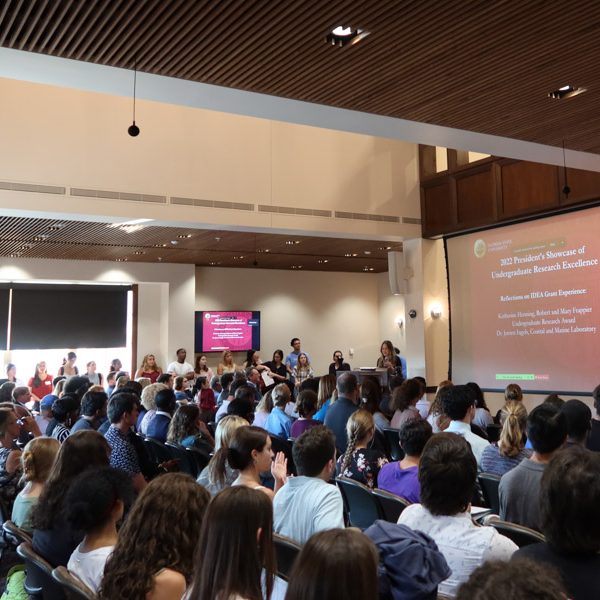 About 30 Florida State University students presented research to more than 700 people last week at the 2022 President’s Showcase of Undergraduate Research Excellence.
