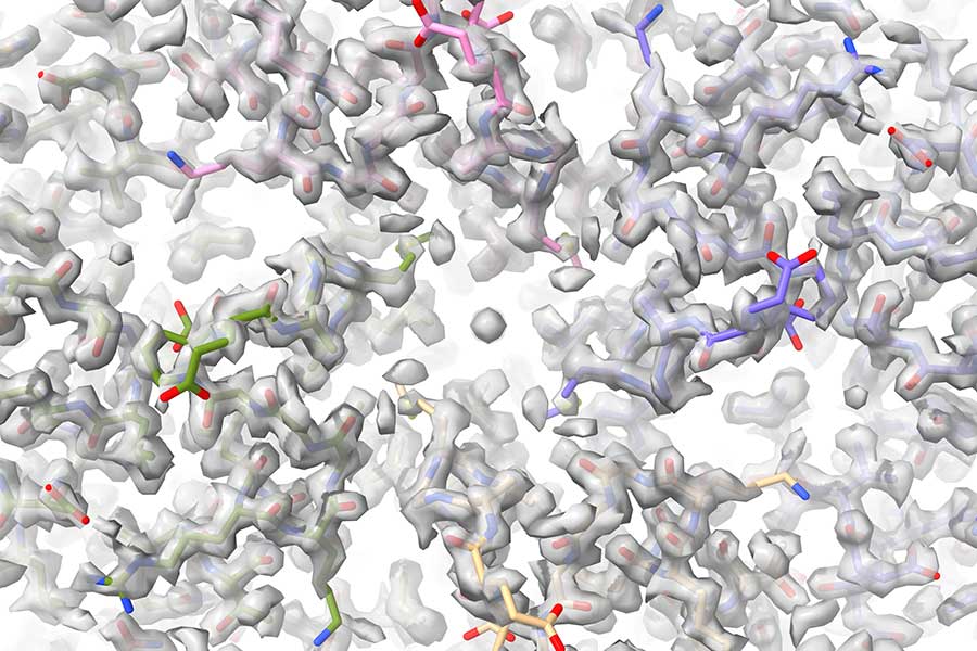 Taking pictures on a molecular level: FSU biologists receive $5M NIH grant  to build cryo-electron microscopy center - Florida State University News