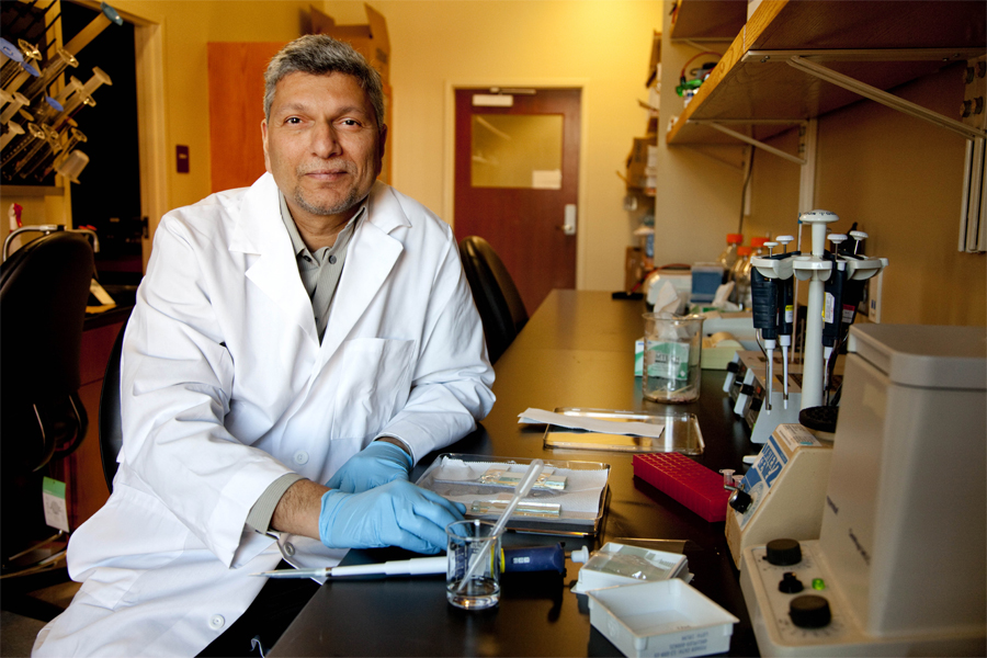 Pradeep Bhide, the Jim and Betty Ann Rodgers Eminent Scholar Chair of Developmental Neuroscience in the Department of Biomedical Sciences. (Colin Hackley/FSU College of Medicine)