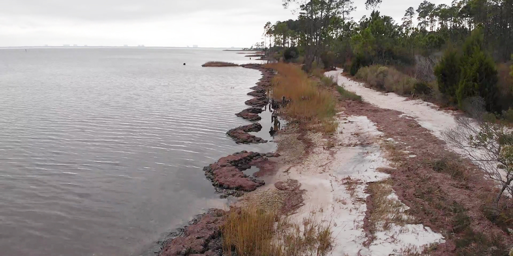 St. Joseph Bay (Jessica Graham)