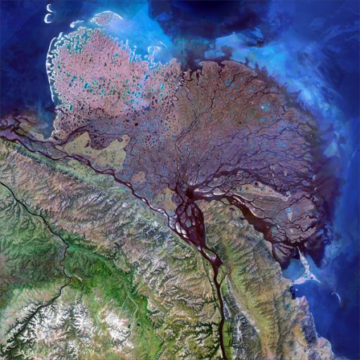 An image of the Lena River delta, one of the Arctic rivers that was part of this study. (Image courtesy of Greg Fiske/ Woodwell Climate Research Center)