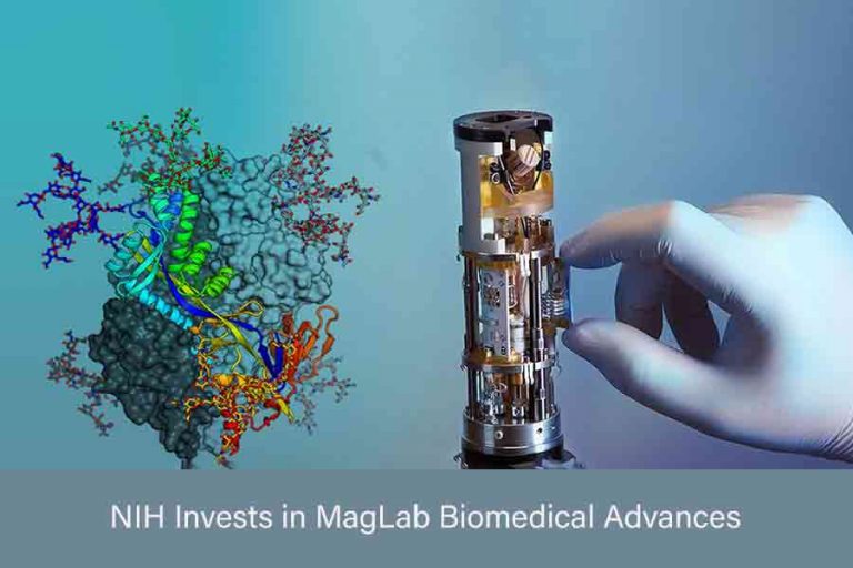 NIH invests 5.3M in MagLab biomedical advances Florida State