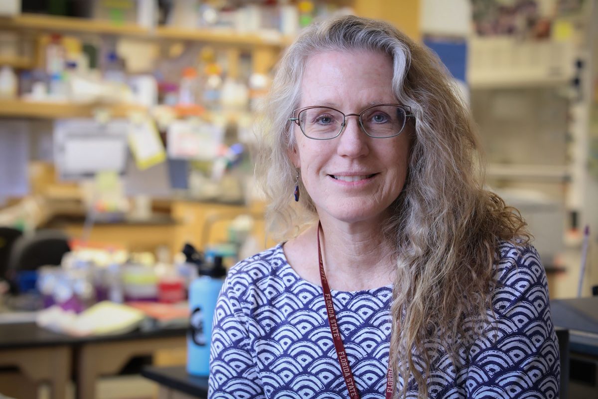 Debra Ann Fadool, distinguished research professor of Biological Science and Neuroscience, was awarded a $2.7 million grant from the National Institutes of Health to explore the links between diet, metabolism and the olfactory bulb in the brain. (Devin Bittner)