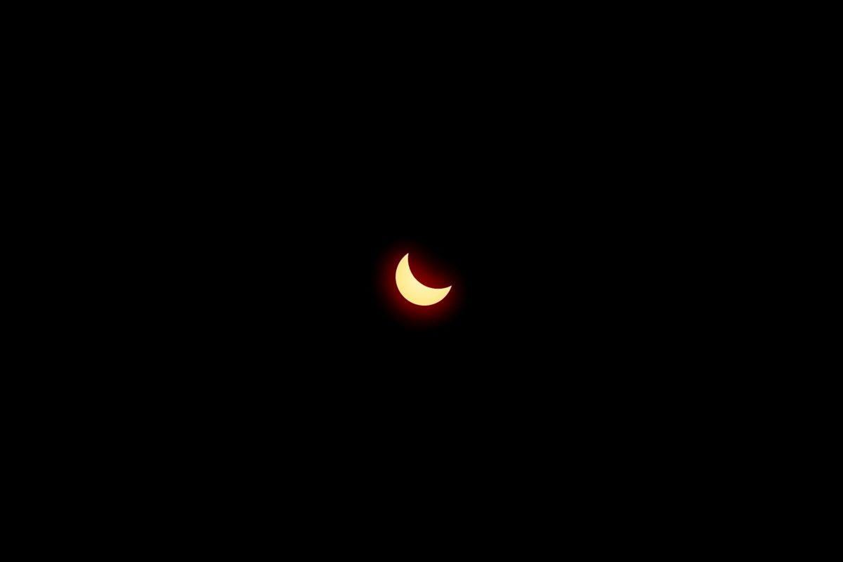 Partial Solar Eclipse, April 8, 2024. (FSU Photography)