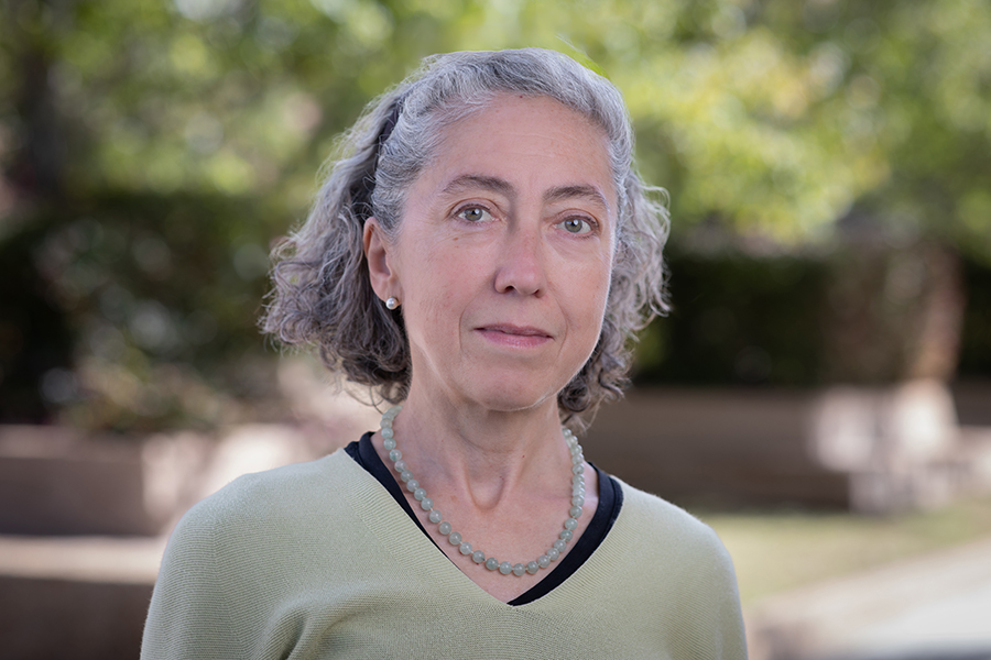 Laura Reina, FSU Distinguished Research Professor and Joseph F. Owens Endowed Professor in the Department of Physics. (Devin Bittner/FSU College of Arts and Sciences)