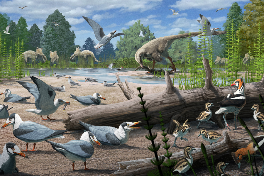 An illustration of Cretaceous Period birds with other dinosaurs from the same time period in the background. A paper in the journal Science documents the earliest-known example of birds nesting in the polar regions. (Illustration by Gabriel Ugueto)