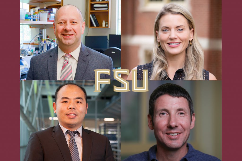 Clockwise from top left, Florida State University faculty who received Developing Scholar Awards are Robert Tomko, College of Medicine; Elizabeth Cecil, College of Arts and Sciences; Aaron Wilber, College of Arts and Sciences; and Yanshuo Sun, FAMU-FSU College of Engineering.