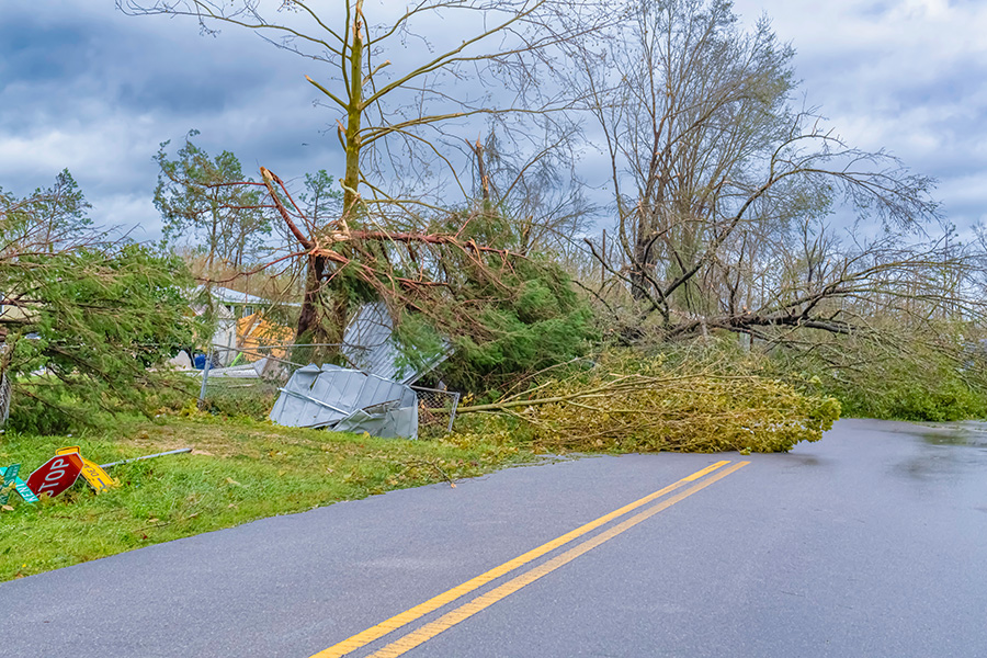 Debris from the aftermath of Hurricane Michael, a major hurricane that hit the Florida Panhandle in 2018. (Adobe Stock)