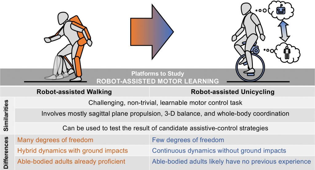 The research team is studying how people acquire the motor skill of unicycling and how robot-assisted coaches and accompanying artificial intelligence tools can help that process. The study is a step toward future research and robot-assisted platforms for physical therapy that could be applied to patients relearning to walk. (Courtesy of Taylor Higgins)
