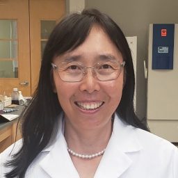 Qing-Xiang “Amy” Sang, Distinguished Research Professor, Department of Chemistry and Biochemistry