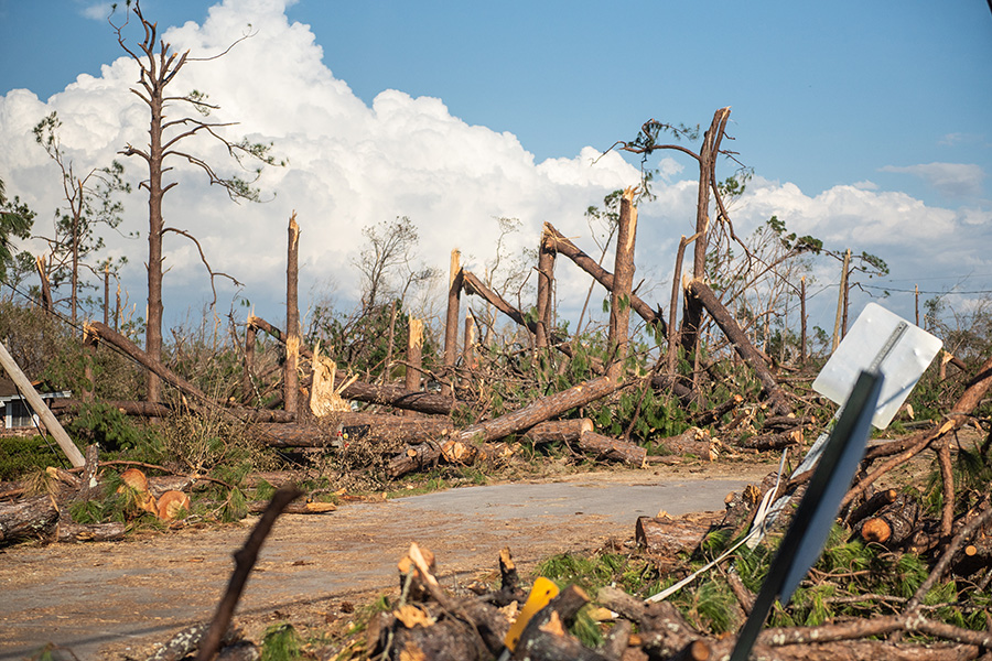 Damage from Hurricane Michael in the Florida Panhandle. (Adobe Stock)