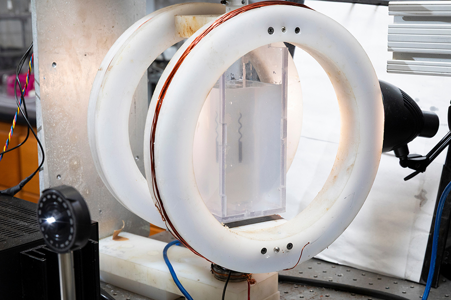 A 3D-printed swimmer with a helical tail and a cylindrical head is suspended in a mixture that mimics the conditions found in the human stomach in Hadi Mohammadigoushki's lab. (Scott Holstein/FAMU-FSU College of Engineering)