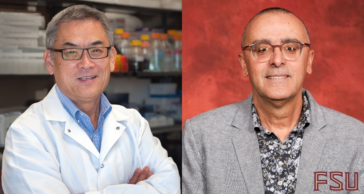 FSU researchers awarded $3.7M grant to investigate neural interactions ...