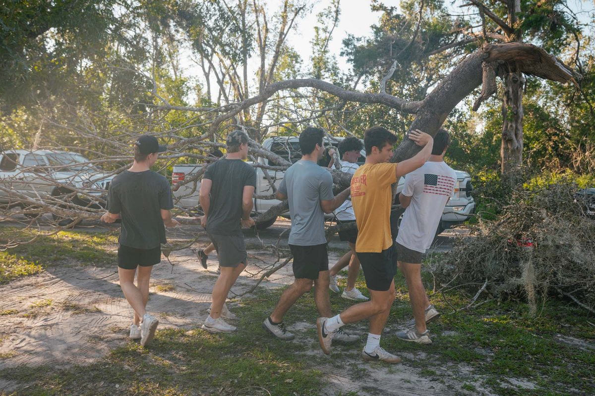 Members of FSU's Interfraternity Council help move a tree limb following Hurricane Helene in Perry, Florida, on Sept. 29, 2024. (Department of Fraternity and Sorority Life)