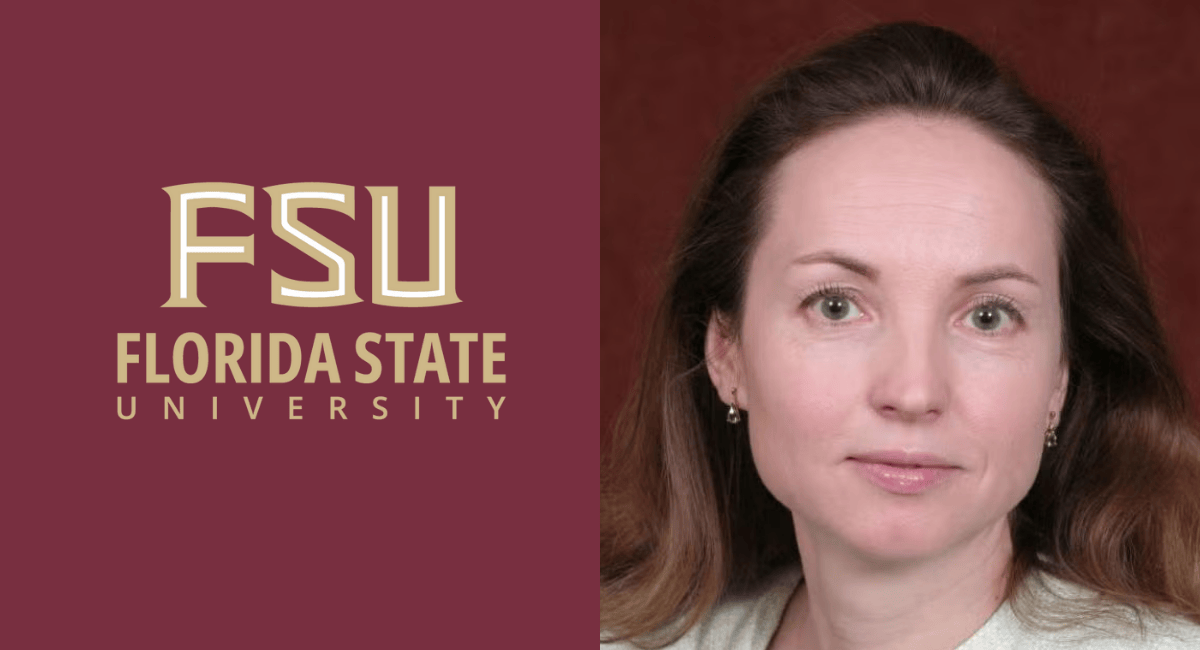 FSU educational expert shares the learning power of LEGO bricks