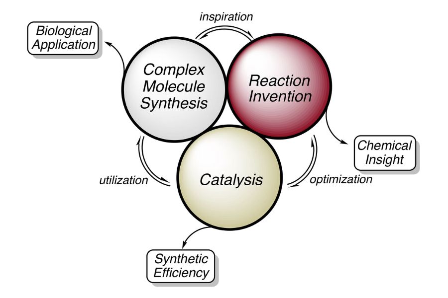 A graphic illustrating the mission of the Smith Laboratory. Three circles in the middle read "Complex Molecule Synthesis, Reaction Invention, and Catalysis." Connecting the circles are the ideas of "inspiration, optimization, and utilization." These methods help the lab reach its goals: "developing chemical insights, synthetic efficiency, and biological applications."