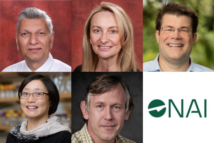 From left to right, top row: Pradeep Bhide, Ava Bienkiewicz, Christian Bleiholder. From left to right, bottom row: Yan-Yan Hu, Ulf Trociewitz, and the logo for the National Academy of Inventors.