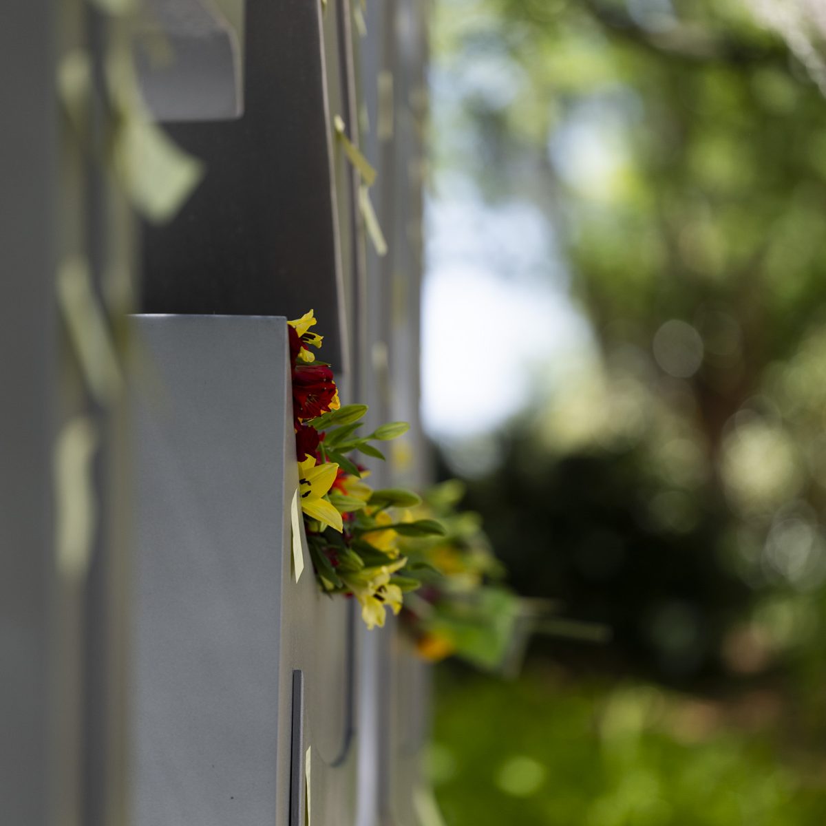 Flowers are placed on top of the fsu letters outside the student union.
