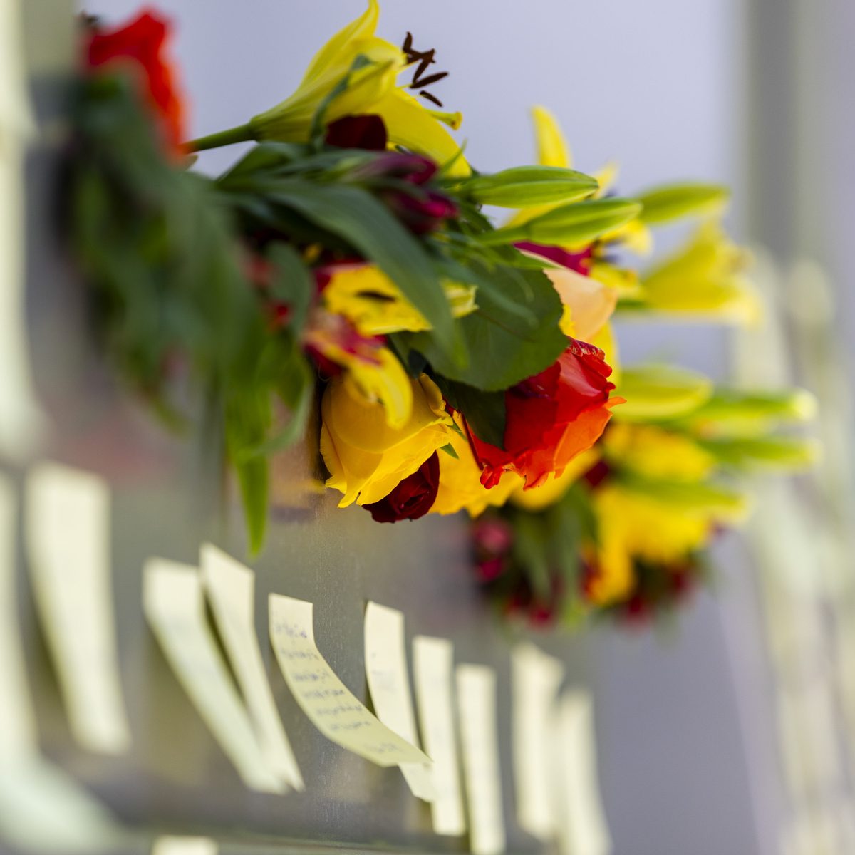 Flowers sit atop the fsu letters outside the student union